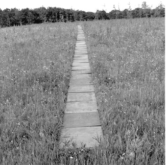 Installation view 1977 © VG Bild-Kunst, Bonn 2017. Photo: LWL / Rudolf Wakonigg