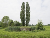 Photo: Skulptur Projekte Archiv / Hubertus Huvermann