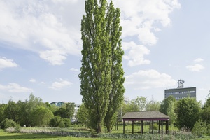 Foto: Skulptur Projekte Archiv / Hubertus Huvermann