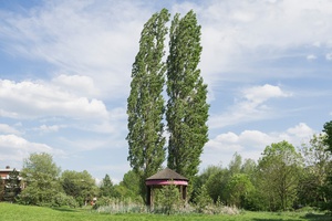 Foto: Skulptur Projekte Archiv / Hubertus Huvermann