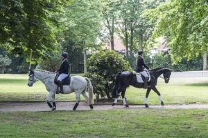 Reeactment during Skulptur Projekte 2017 in Marl (here: former Sickingmühler Cemetery), Skulpturenmuseum Glaskasten Marl, 2017, Foto Thorsten Arendt