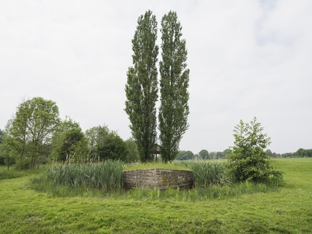 Foto: Skulptur Projekte Archiv / Hubertus Huvermann